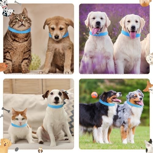 500 Count 20inch Adjustable Paper Dog Collars with Tear Resistant Waterproof Whe