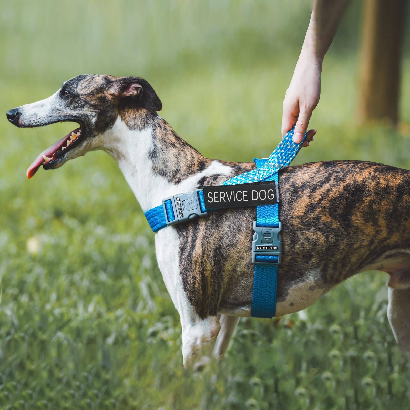 Service Dog Patches 2 PCS ID Tag Attach Collar Harness Vest 0.98×3.15 Inch
