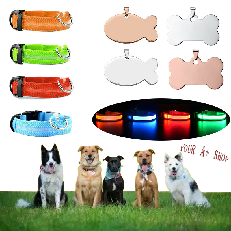 Pet Dog LED Collar Night Flashing With ID Name Tag Custom Engraved Double Side