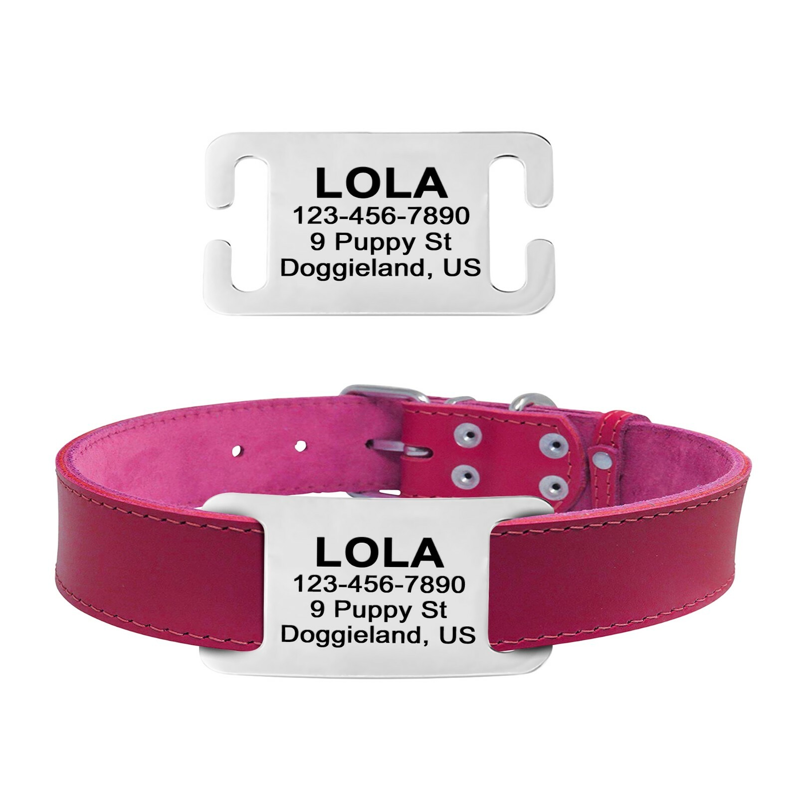 Personalized Slide On Pet ID Tags No Noise Stainless Steel Gold & Silver Collar