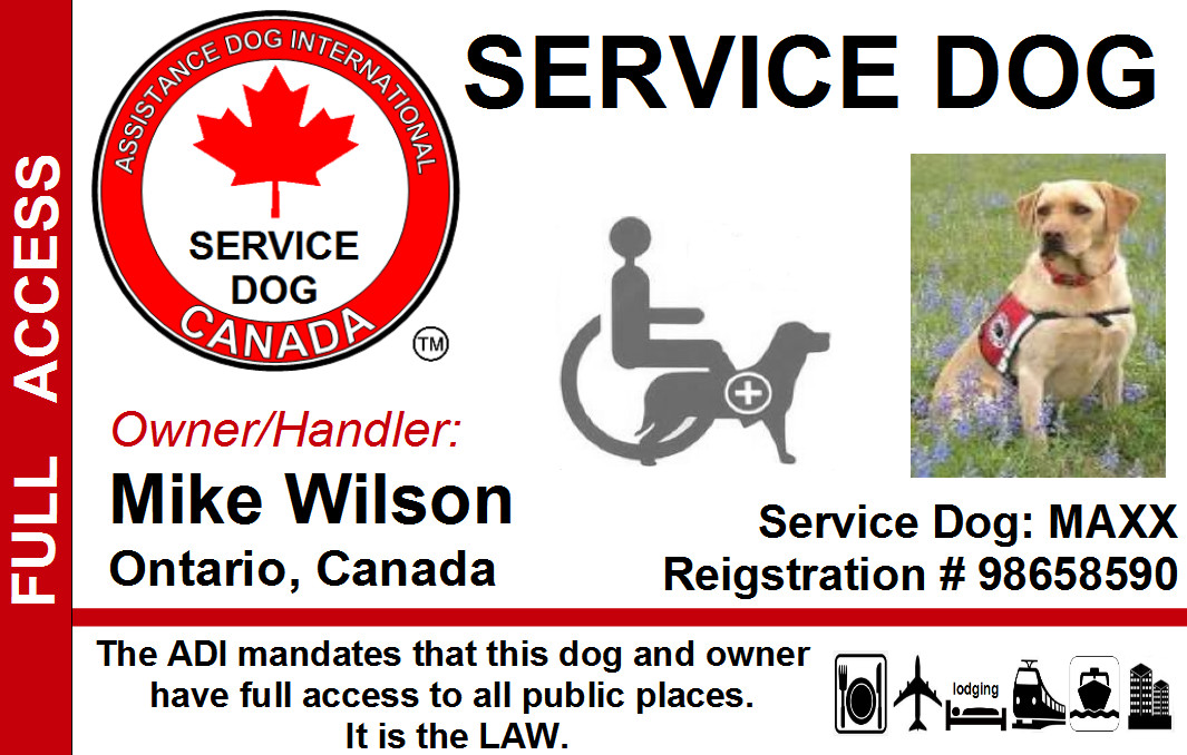 CANADIAN SERVICE DOG ID CARD – ASSISTANCE DOG CARD ID BADGE for Canada