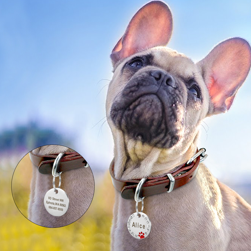 Personalized Dog Tags Paw Rhinestone Pet Cat ID Name Tag Engraved Free Hair Bows