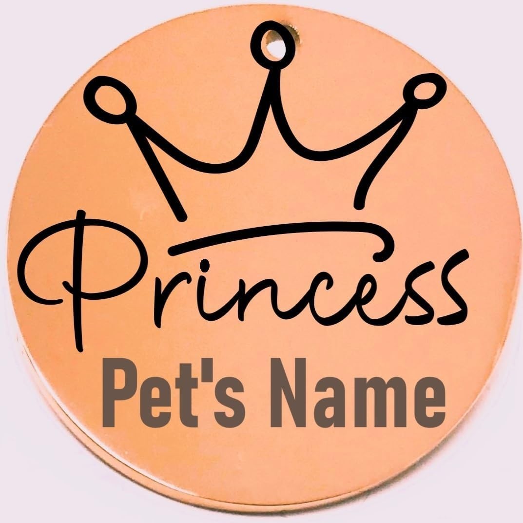 Princess Laser Engraved Pet Name Tags Personalized on Both Sides for Pet Collar