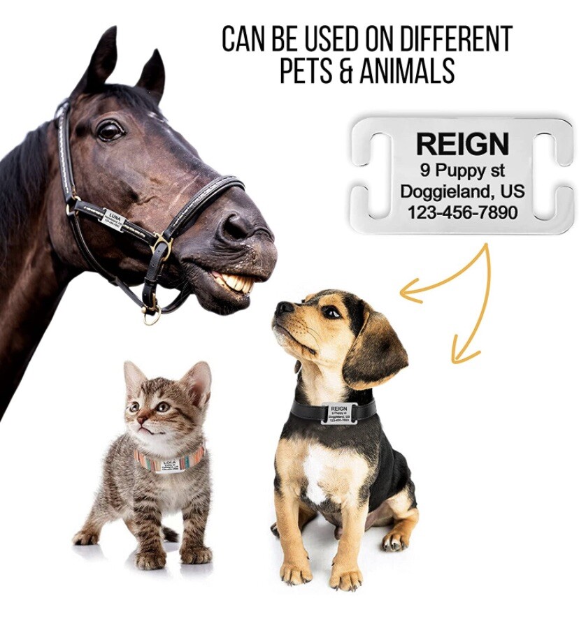 Personalized Slide On Pet ID Tags No Noise Stainless Steel Gold & Silver Collar