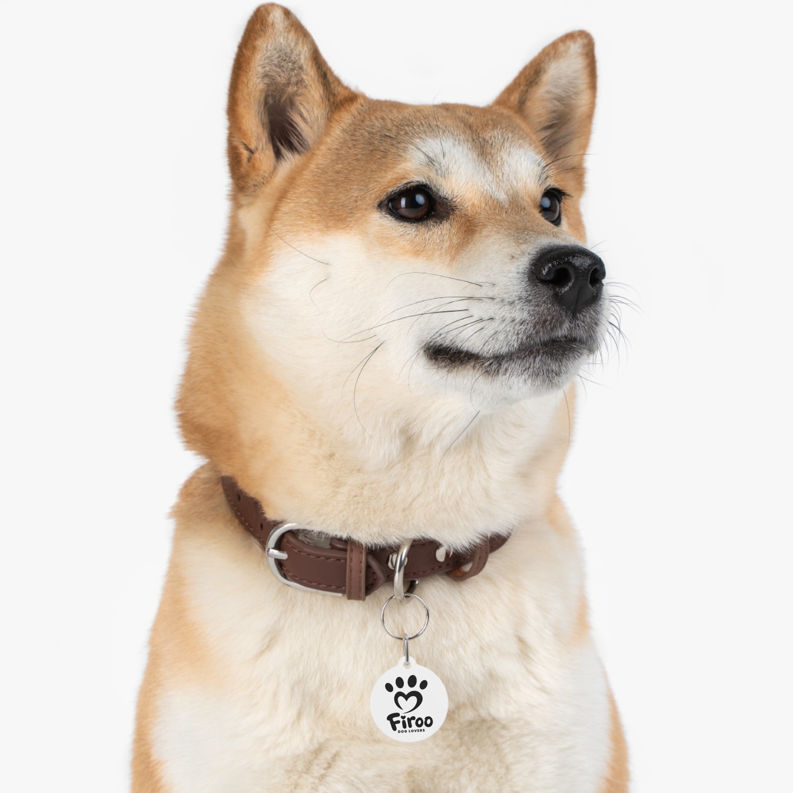 FIROO Custom Pet Tag – Double-Sided Glossy Printed Solid Metal ID Tag