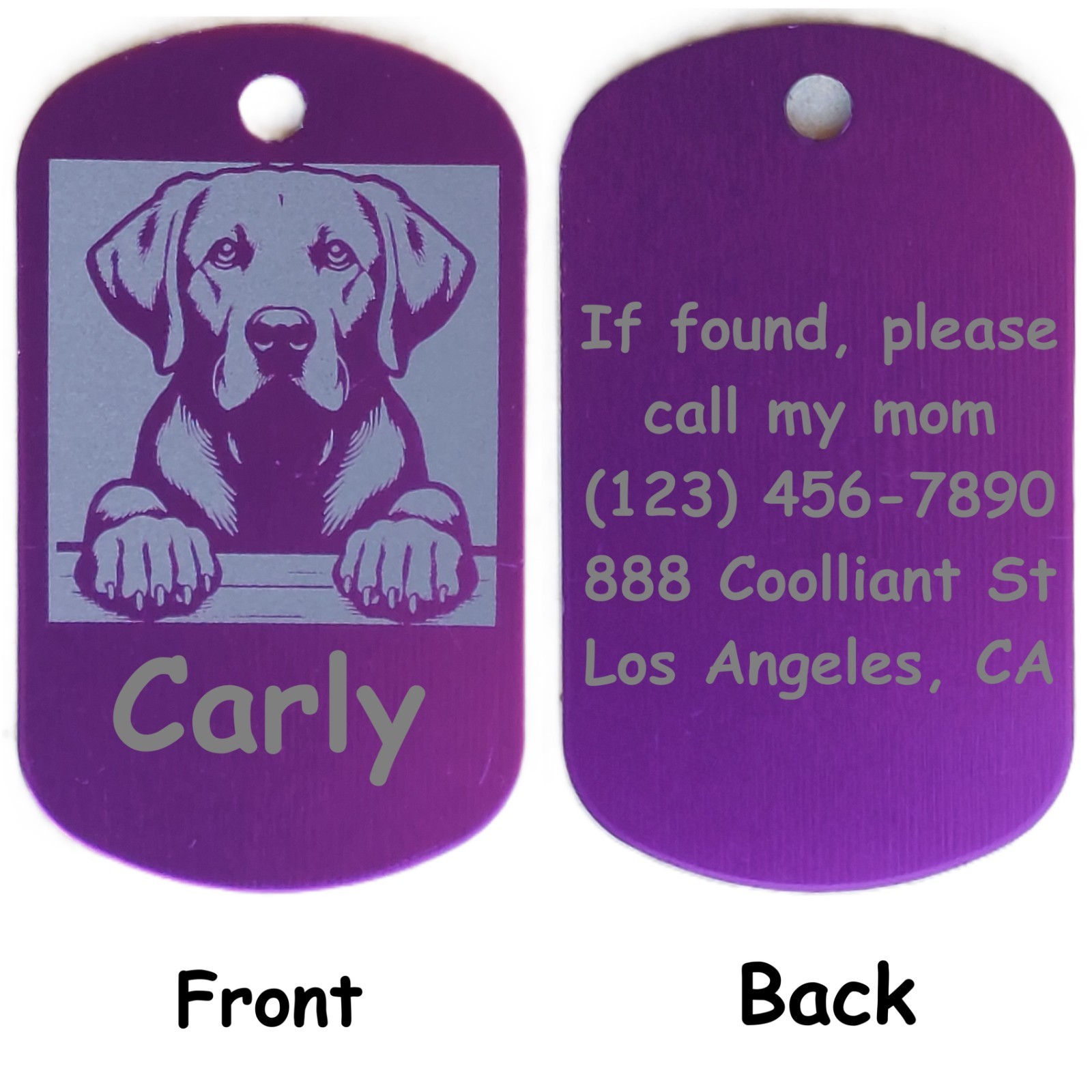 Military Style Personalized Labrador Retriever Dog ID/Name Tag for Pet Collar