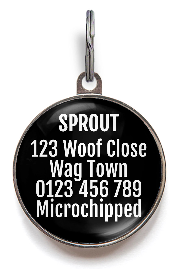 Skull and Crossbones Pet ID Tag – Personalized Pirate Dog Name Tag (36 Colors)