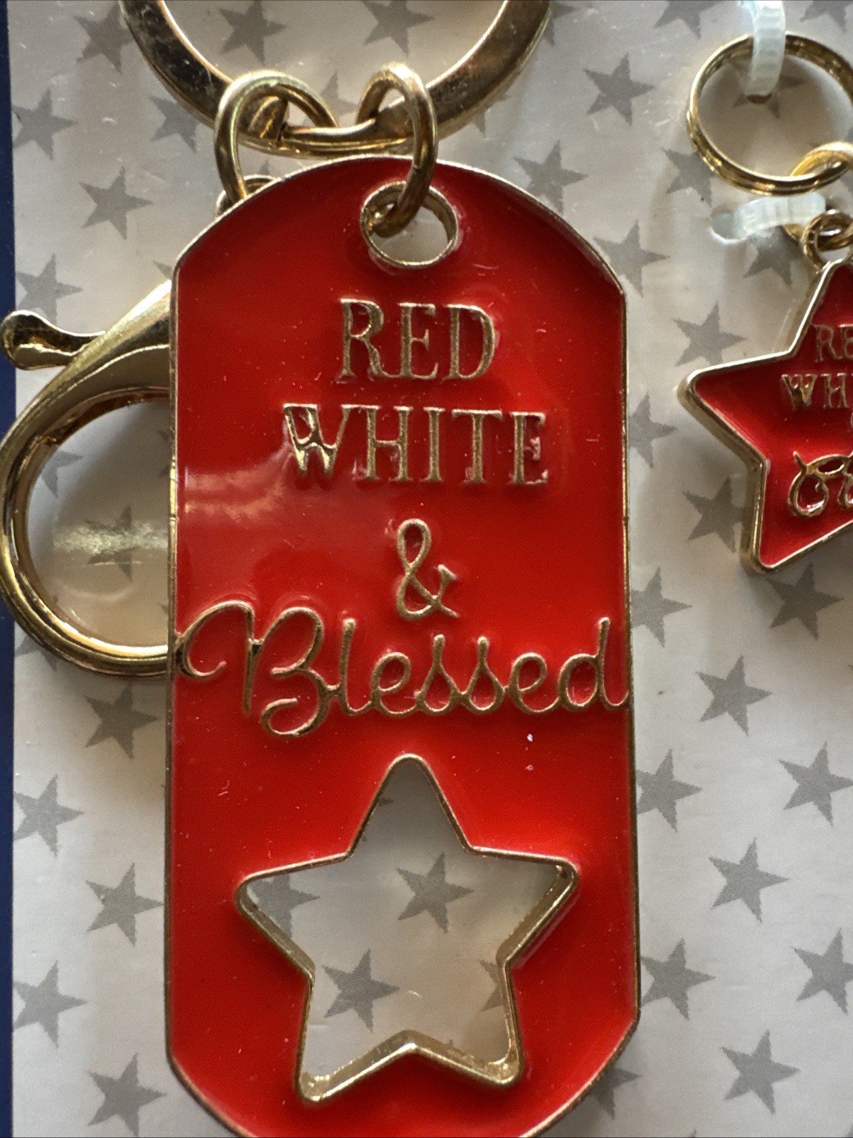 Heads or Tails 2PC Pet Collar Charm with matching Keychain Set – Red, White And
