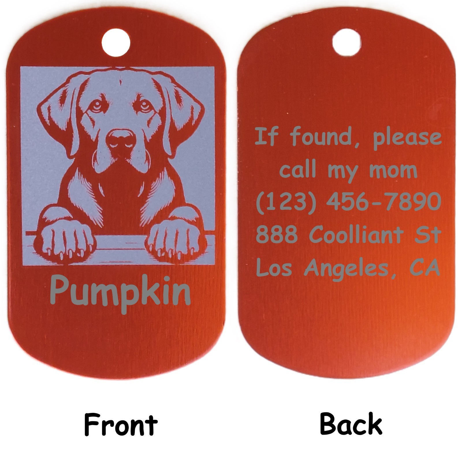 Military Style Personalized Labrador Retriever Dog ID/Name Tag for Pet Collar