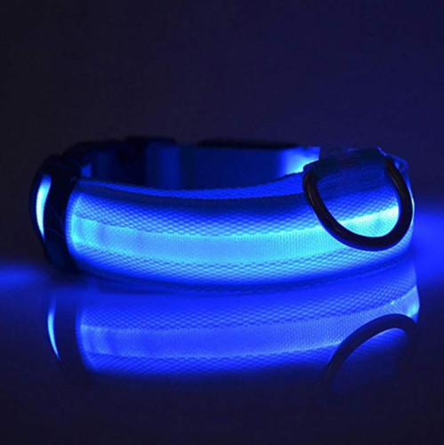 Pet Dog LED Collar Night Flashing With ID Name Tag Custom Engraved Double Side