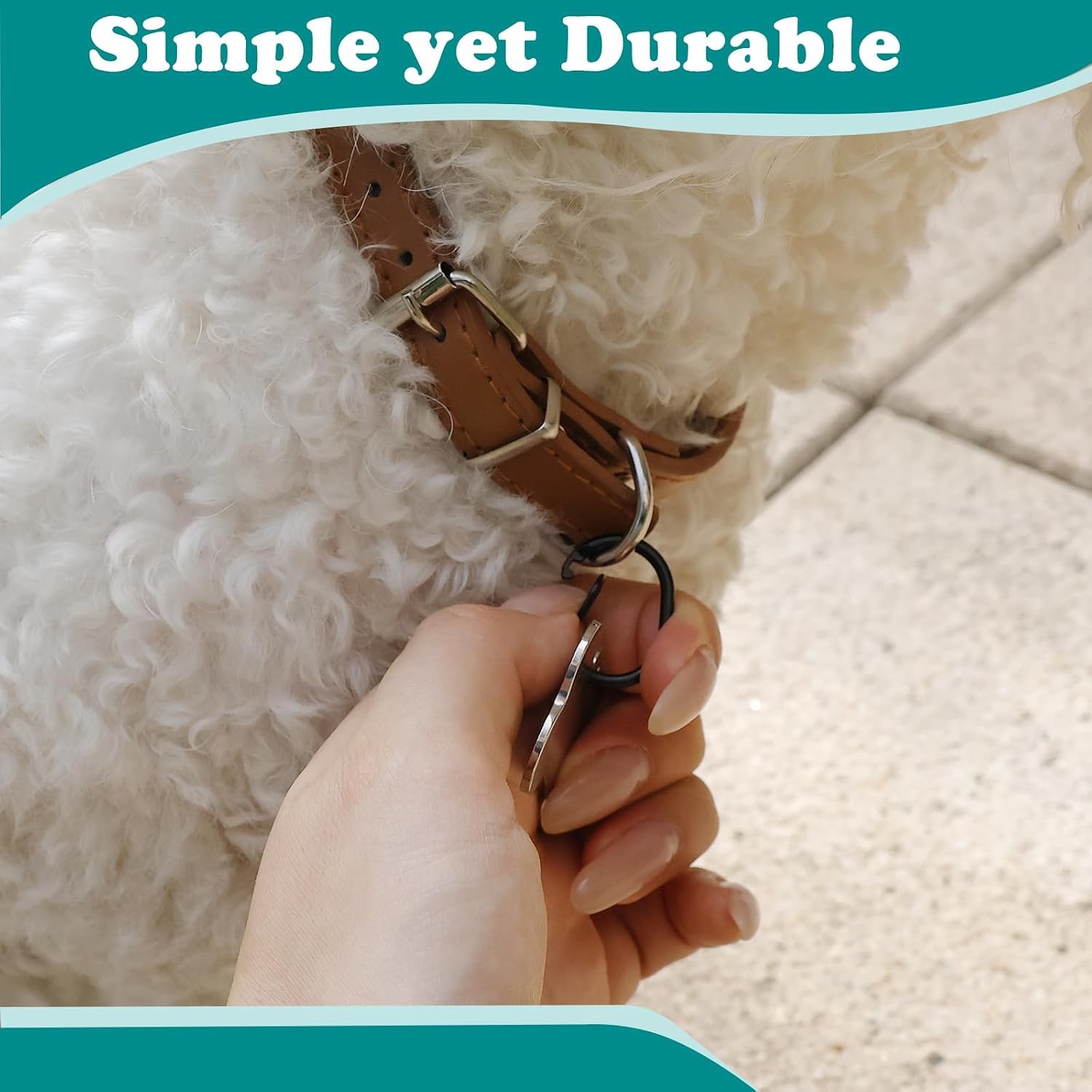 4 Pack Pet Tag Clips, Dog Rings for Pet Collar, ID Tag Quick Clips for Dogs and