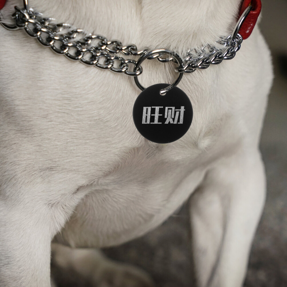 25PCS Aluminium Alloy Pet Tag Pets Blank Tag Puppy Traction Rope Pendant for DIY