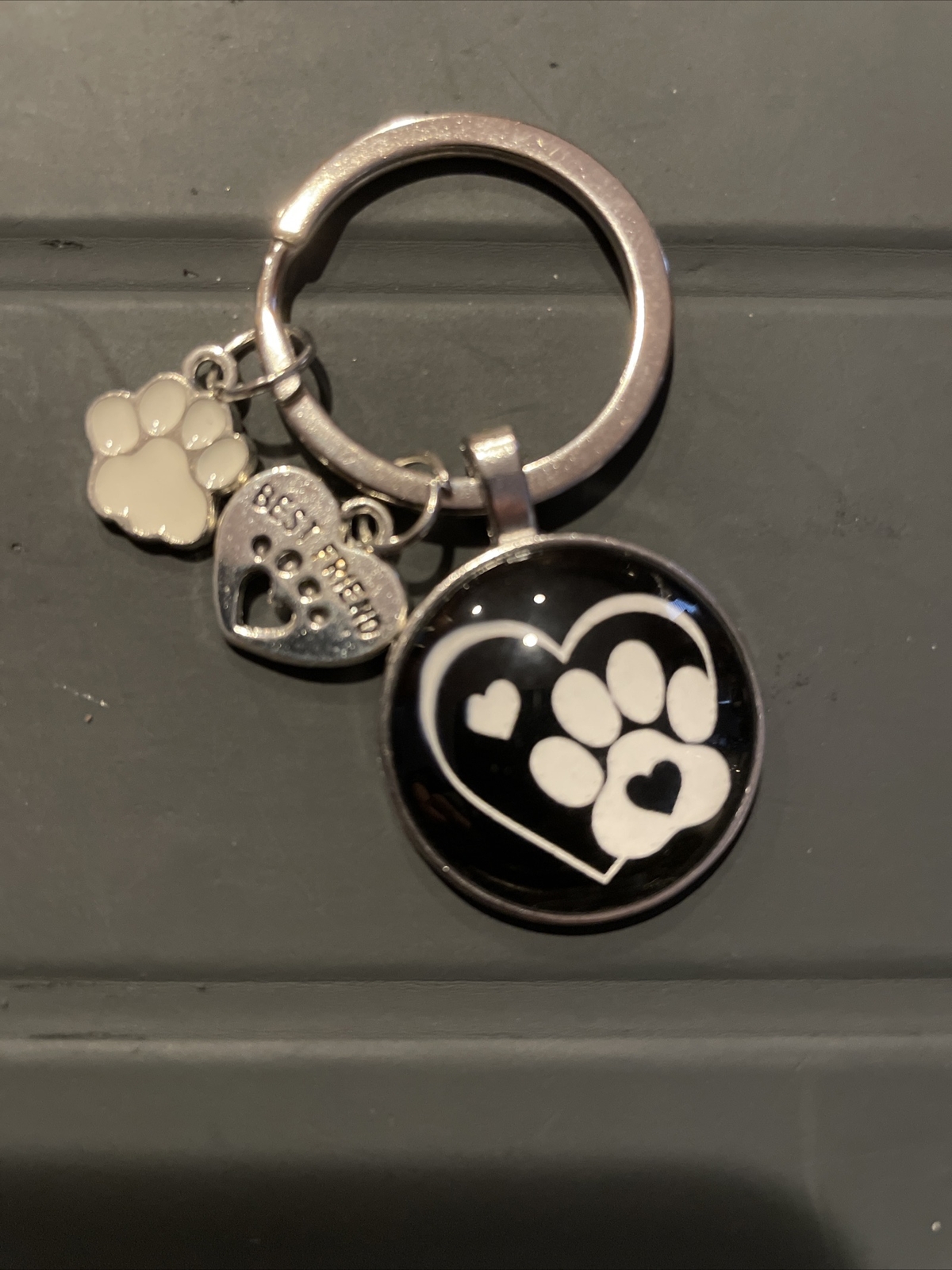 Personalized Pet Photo Keychain / Polaroid, Name / Glossy Photo
