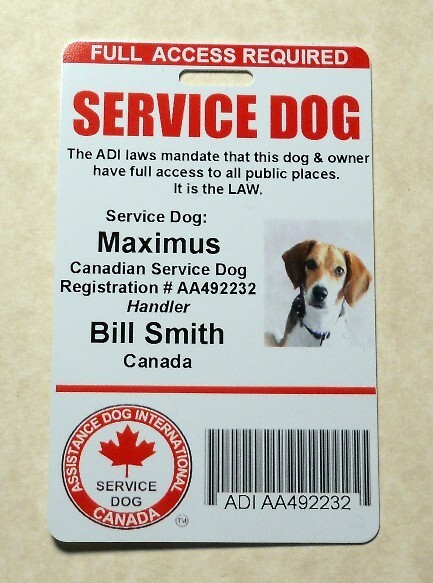 CANADIAN SERVICE DOG ID CARD – ASSISTANCE DOG CARD ID BADGE for Canada V