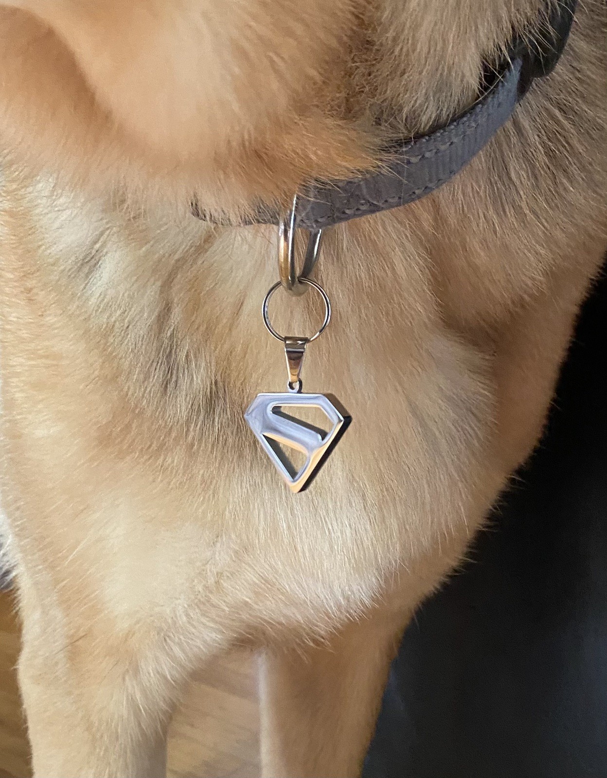 Krypto – Superman dog collar/tag/pendant 2025 Gunn