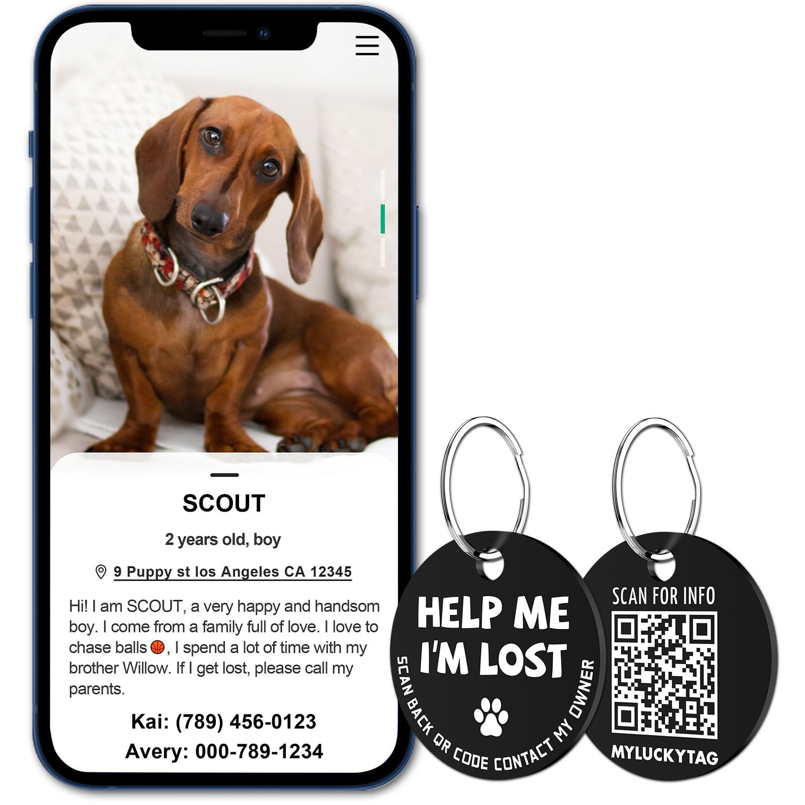 Stainless Steel QR Code Dog Tags – Scan QR for Instant Pet Location Alerts