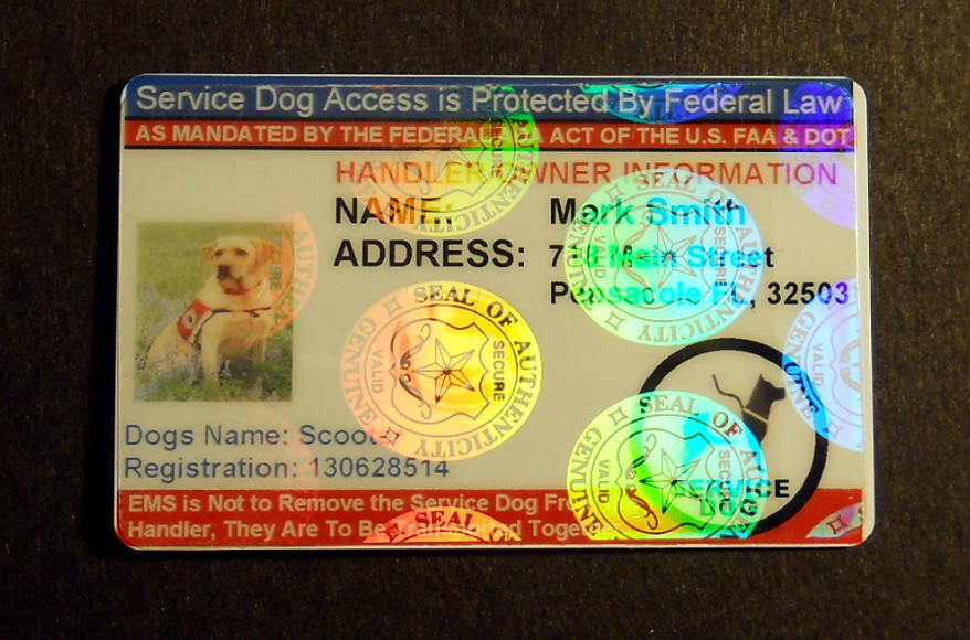 HOLOGRAM SERVICE DOG ID BADGE CARD FOR WORKING DOG AND HANDLER PET ID tag 15