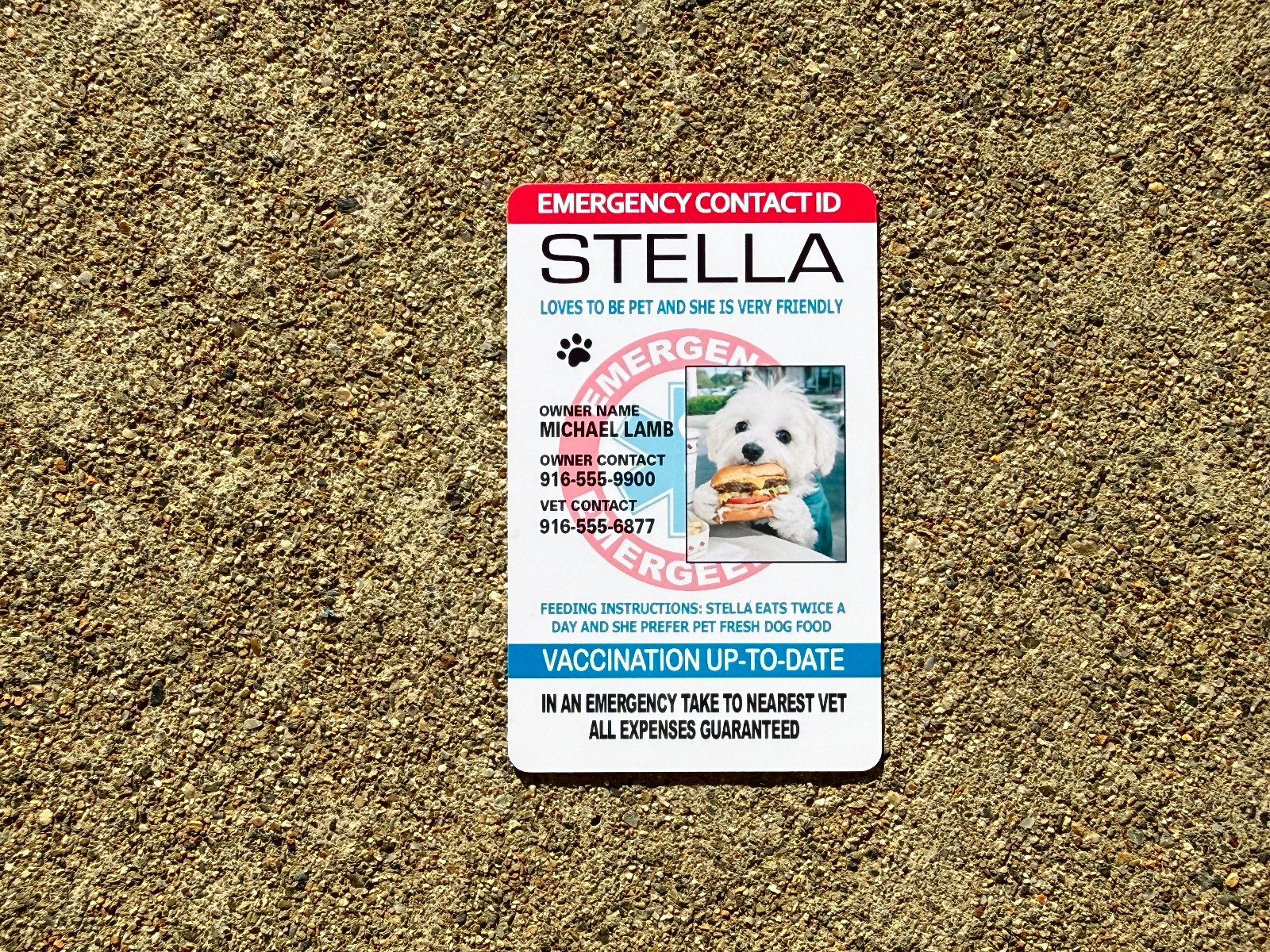 Custom Pet Emergency ID CARD Tag (ice) – WITH PICTURE Pet Safety Crate Boarding