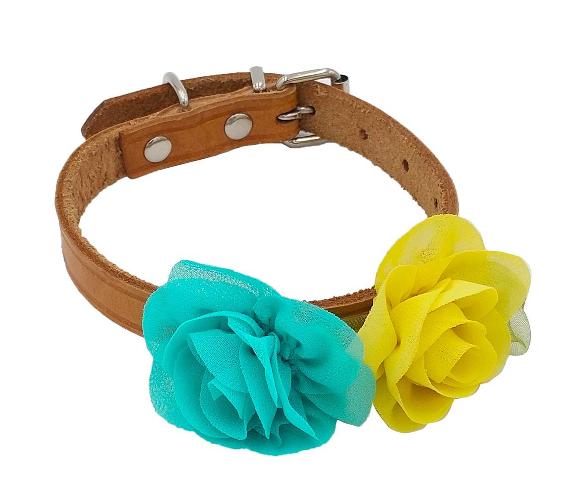 PET SHOW Dog Collar Charms Embellishment Rose Flower 2 inches, 8pcs 2″