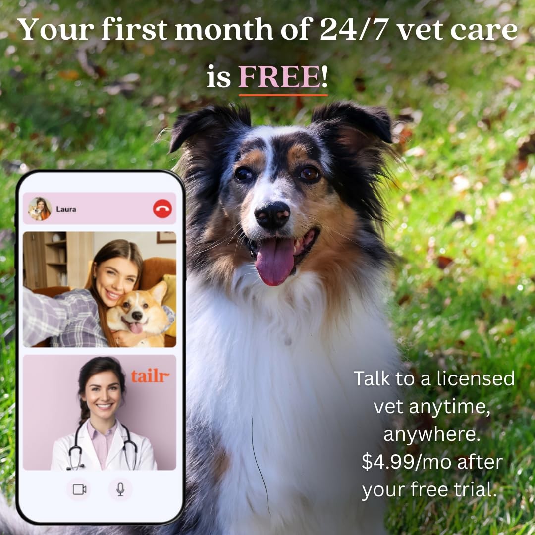 Hanging QR Code Smart Pet ID Tag Large Gold Dog Cat Tag Custom Profile App