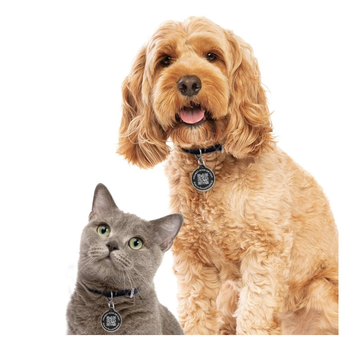 PawscoutQR The Smart Pet Tag Finder for Dogs & Cats Connects To Your Phone