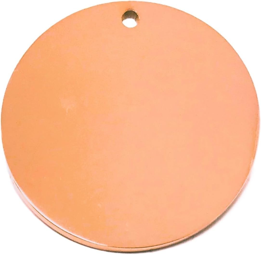 Personalized Bone in Food Bowl Dog ID Tags – Laser Engraved Pet Collar Name Tag