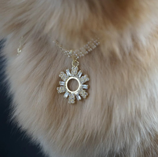 Necklace for Dogs | Dog Rhinestone Yellow Gold Tone Charm Necklace | Dog Jewelry