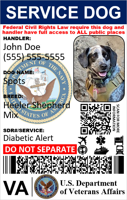 HOLOGRAPHIC MILITARY VETERAN SERVICE DOG ID CARD PHYSICAL & DIGITAL CARD