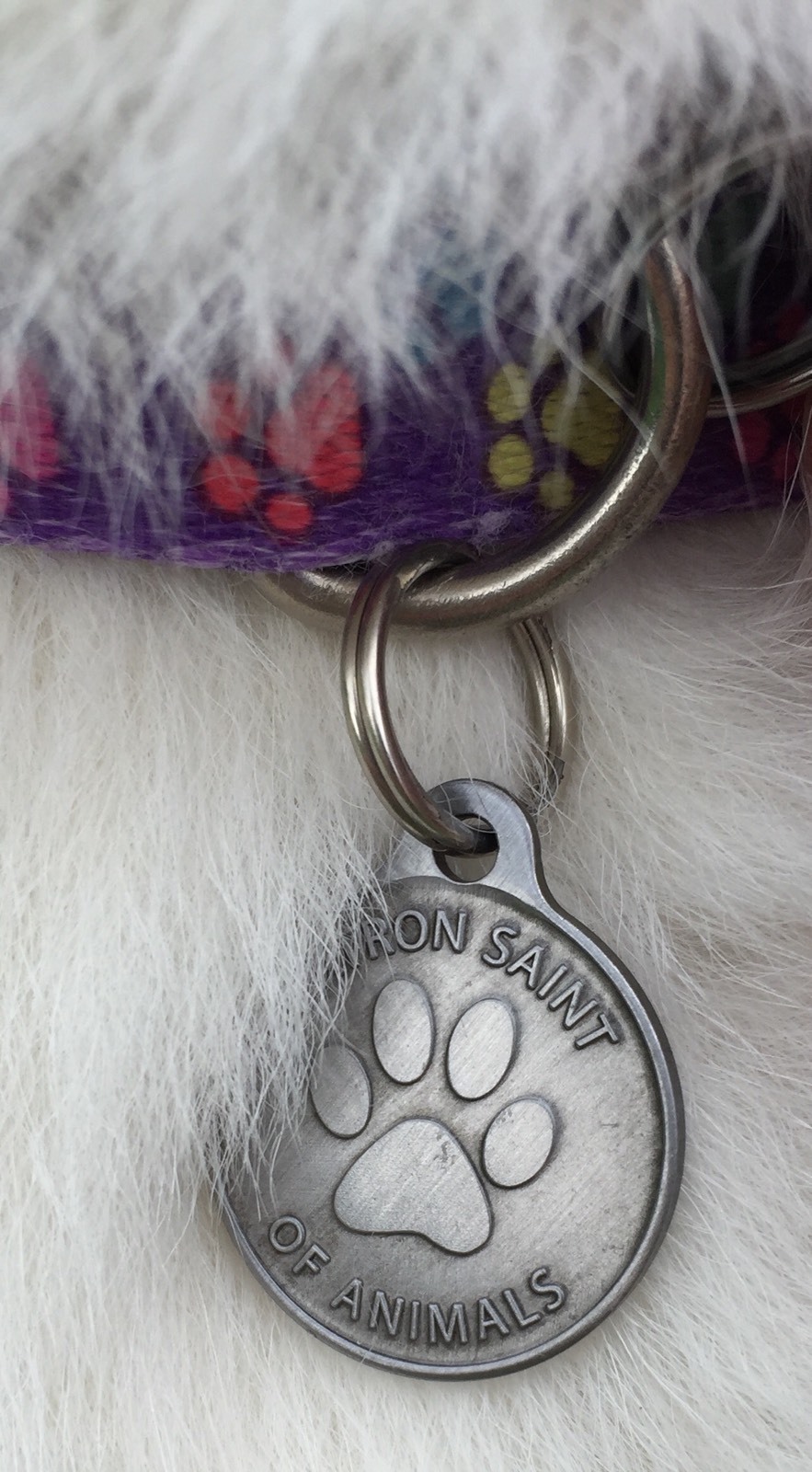 Saint Francis Protect My Pet Patron Saint Of Pets Dog Tag 1″ Charm Pewter Color