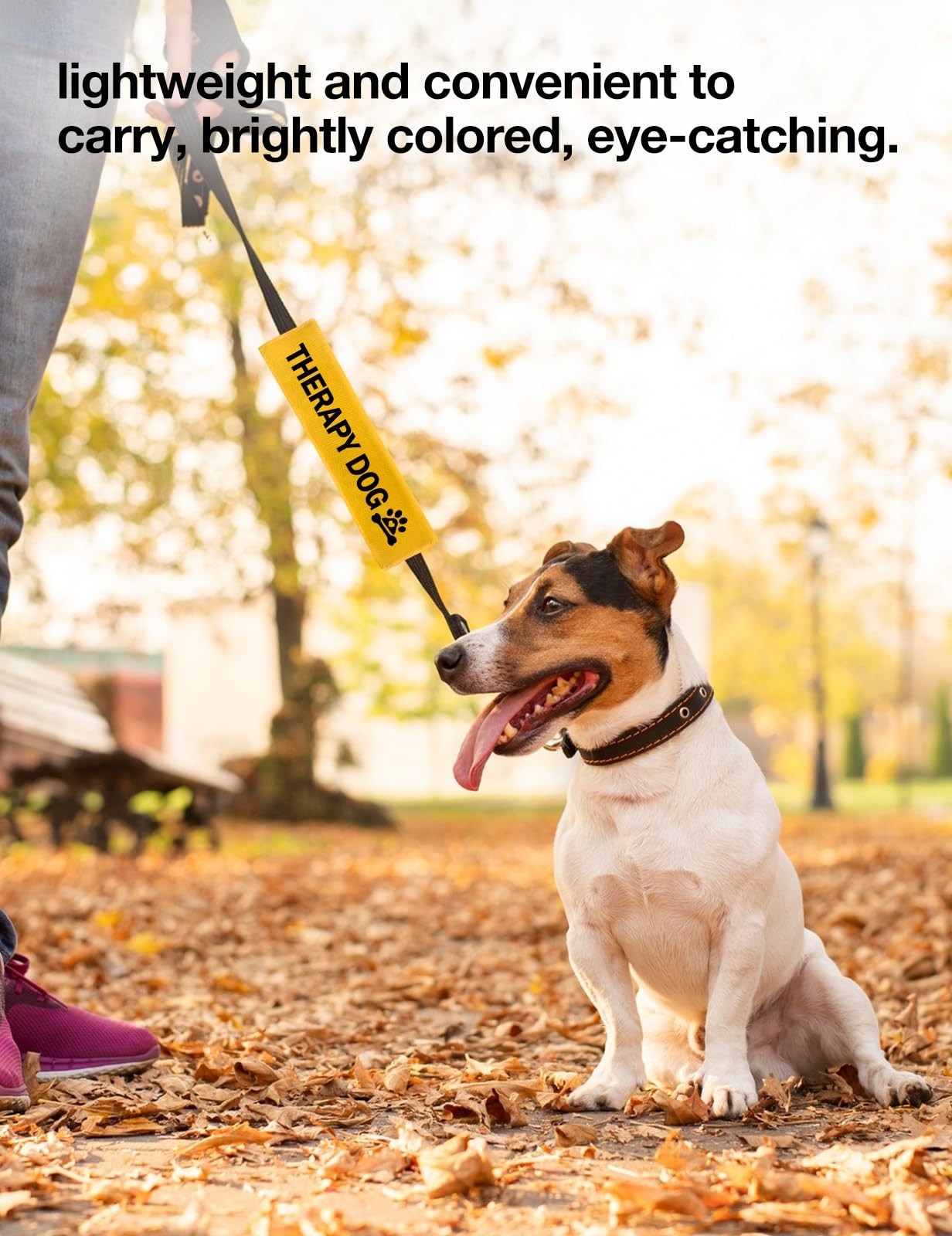 Yellow “Therapy Dog” Leash Sleeve and Tag Alert Patch for Service Pet Dogs