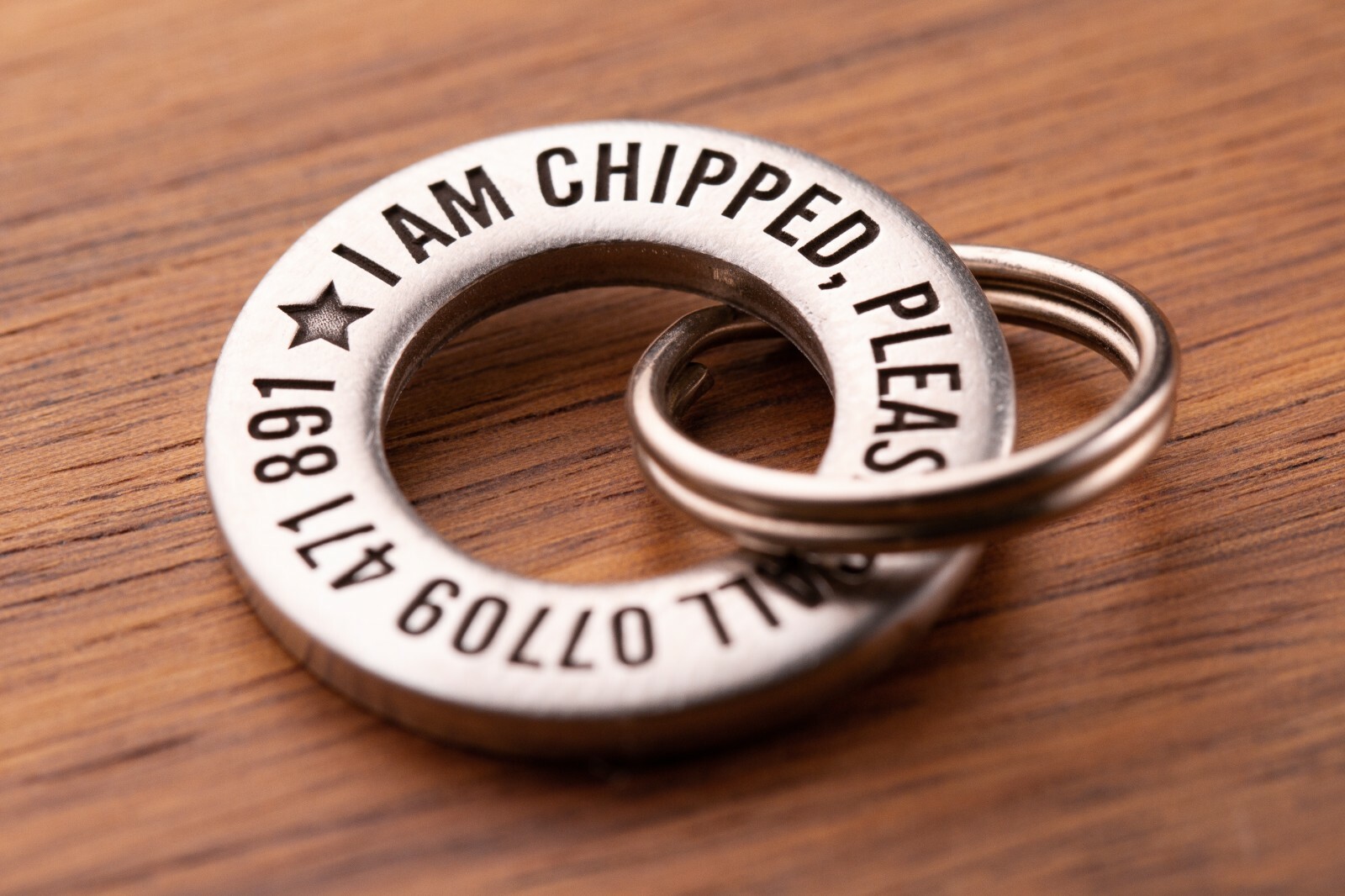 24mm Solid Brass or Stainless Steel Dog / Pet ID Tag