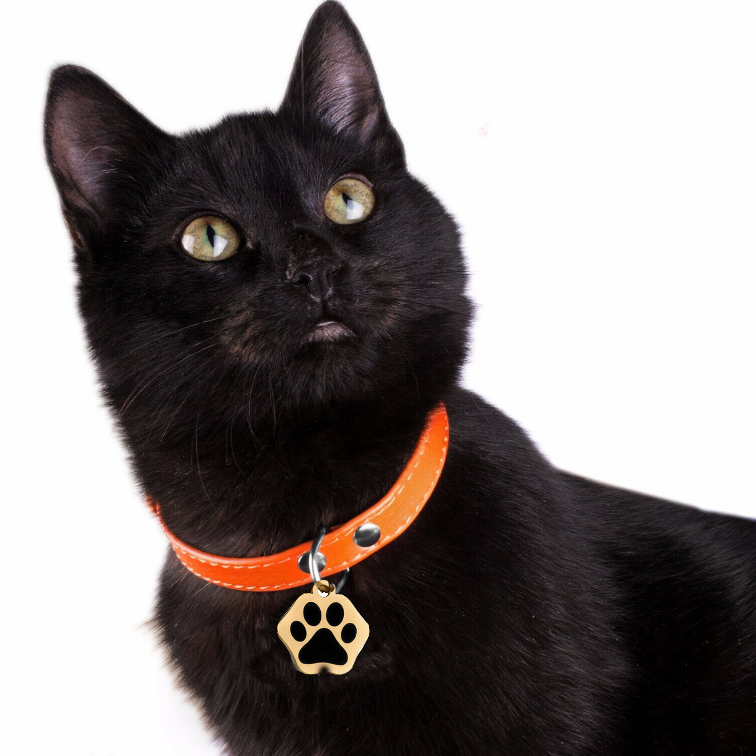 Pet ID Dog cat tag personalized engraving anti loss collar pendant double-sided