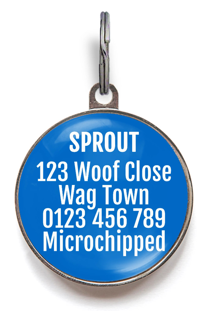 Service Dog Tag – Custom Medical Alert Pet ID for Working Dogs – Waterproof