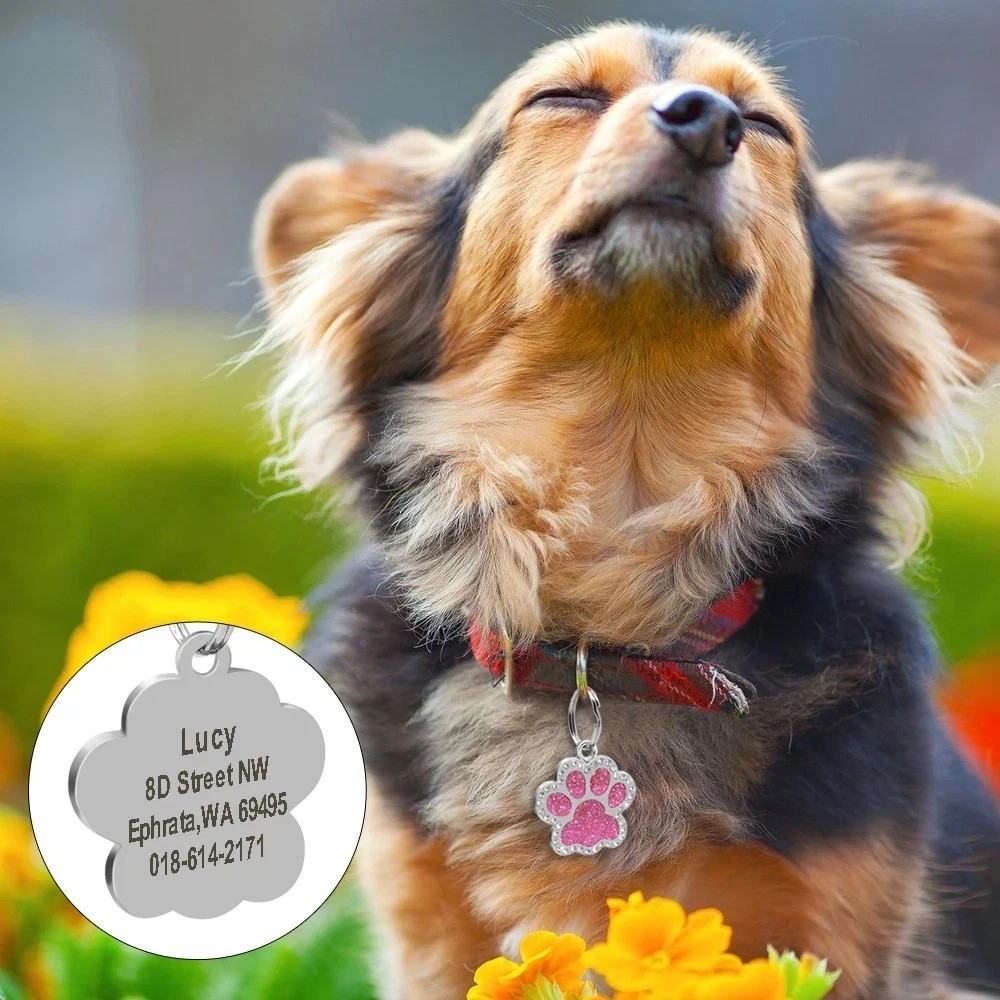 Personalized Pet ID Tag, Dog Tag, Cat Tag, Custom Cat Tag, Easy to Read, Pet Tag