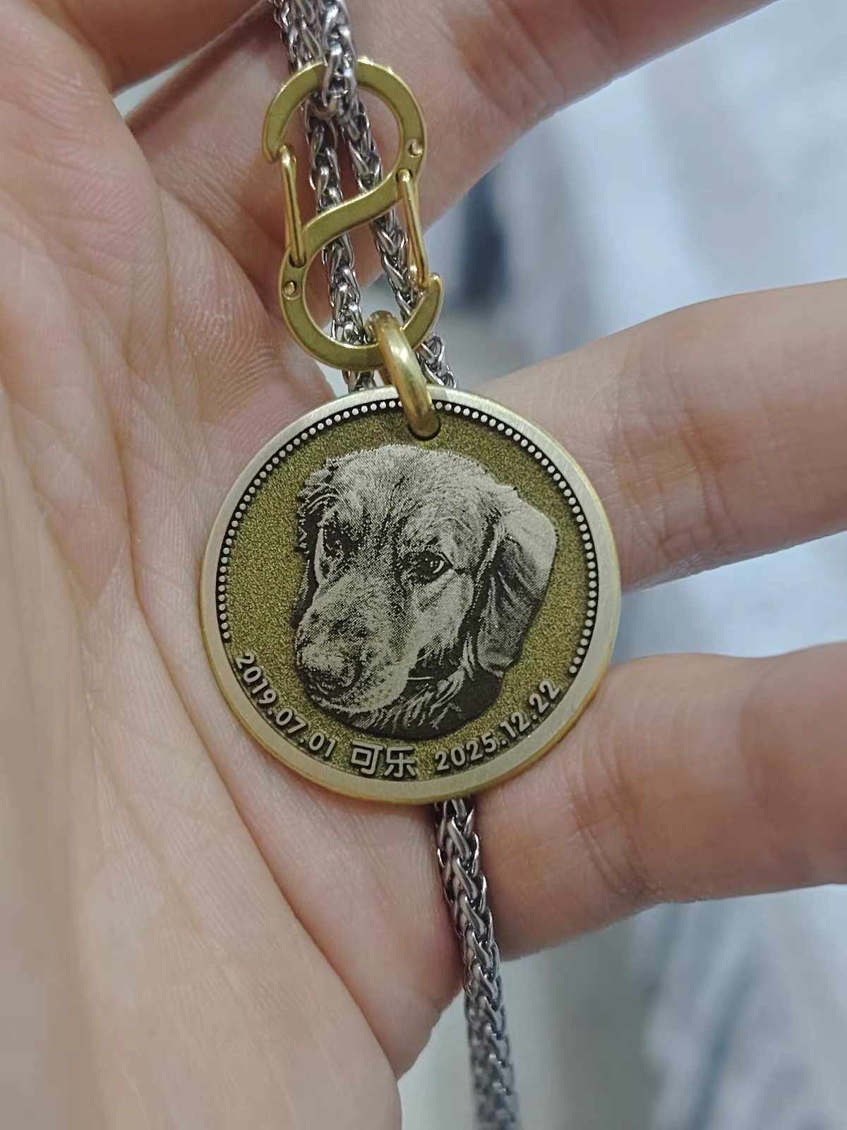 Custom Pet Photo ID Tag | 4 Border Styles & 4 Sizes | Solid Brass Coin