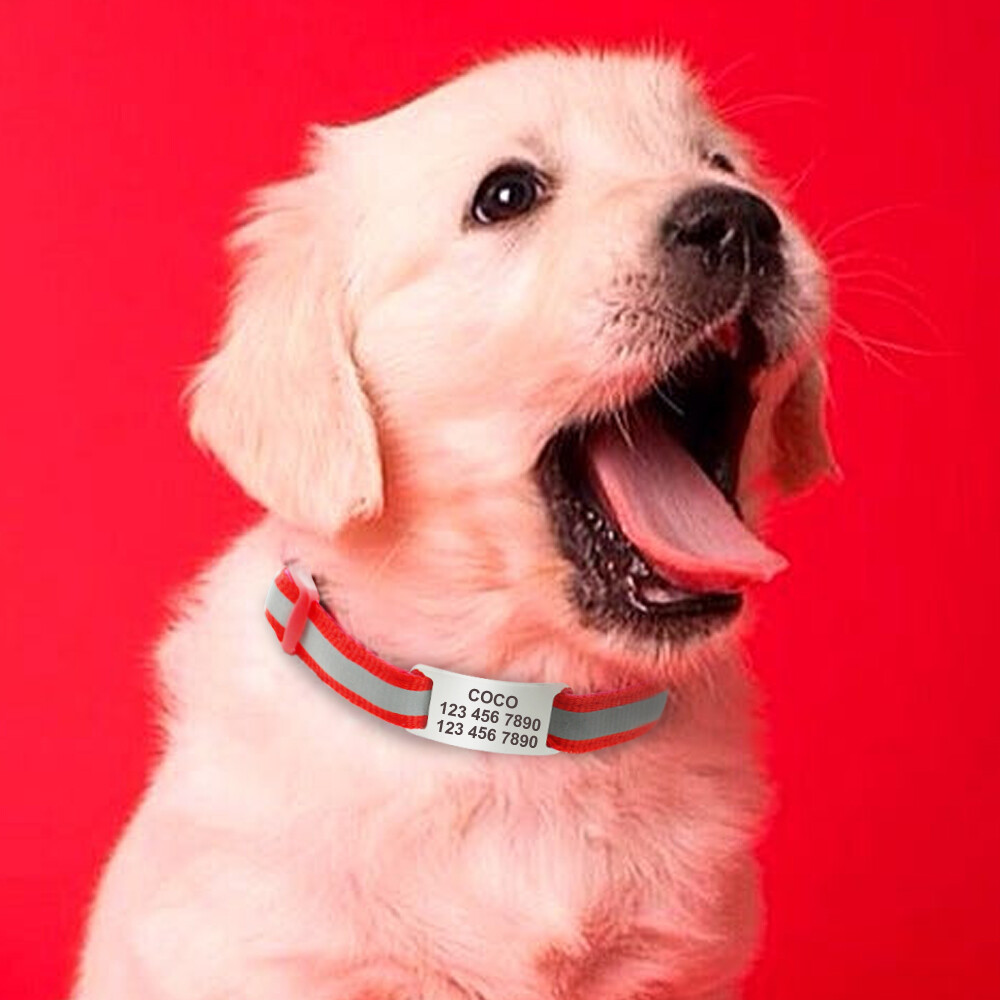 Slide-on Engraved Pet Dog Tag Stainless Steel Personalised Cat ID Collar Tags