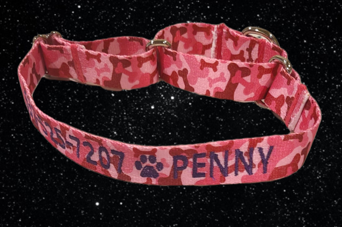 PERSONALIZED Embroidered Martingale Dog Collar Pet ID Tag – Name and Phone!