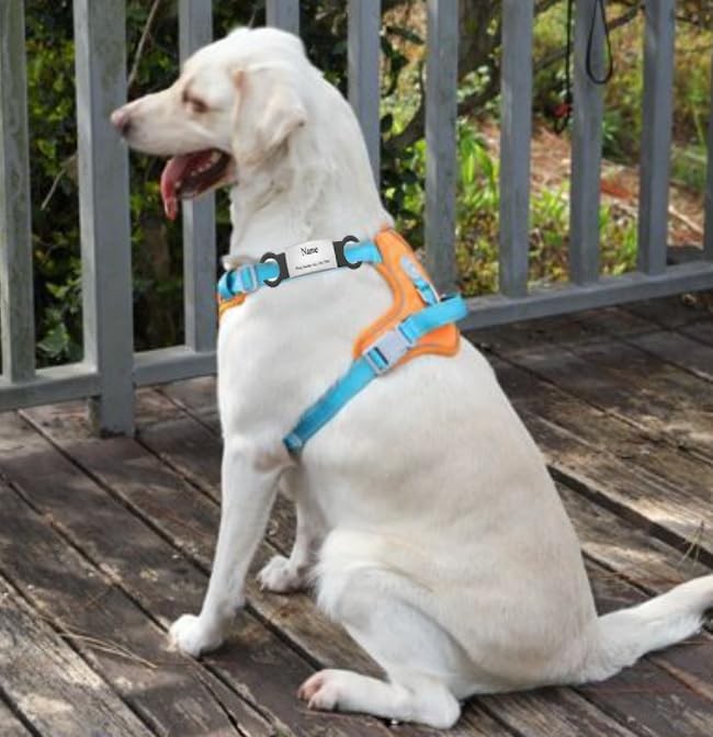 21 Pcs Blank Slide On Silent Pet ID Tags, Blank S/M/L Quiet Chew-Proof Pet Co…