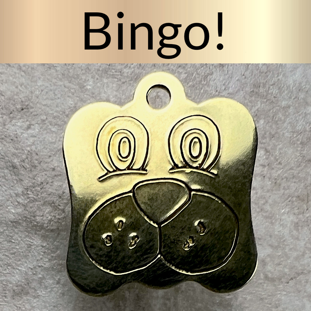 Custom Engraved Dog Tags Personalized Dog Collar Pet Tags Engraved BRASS PUPPY