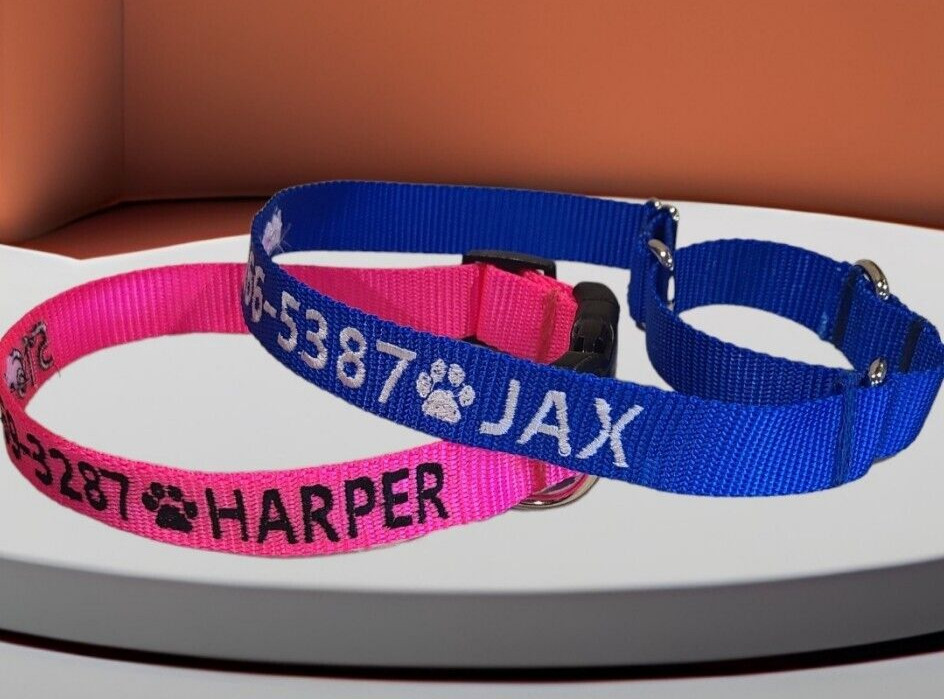 PERSONALIZED Embroidered Martingale Dog Collar Pet ID Tag – Name and Phone!