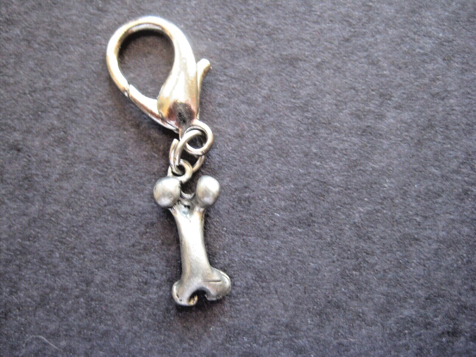 Assorted Pet Collar Charms Dog Tags