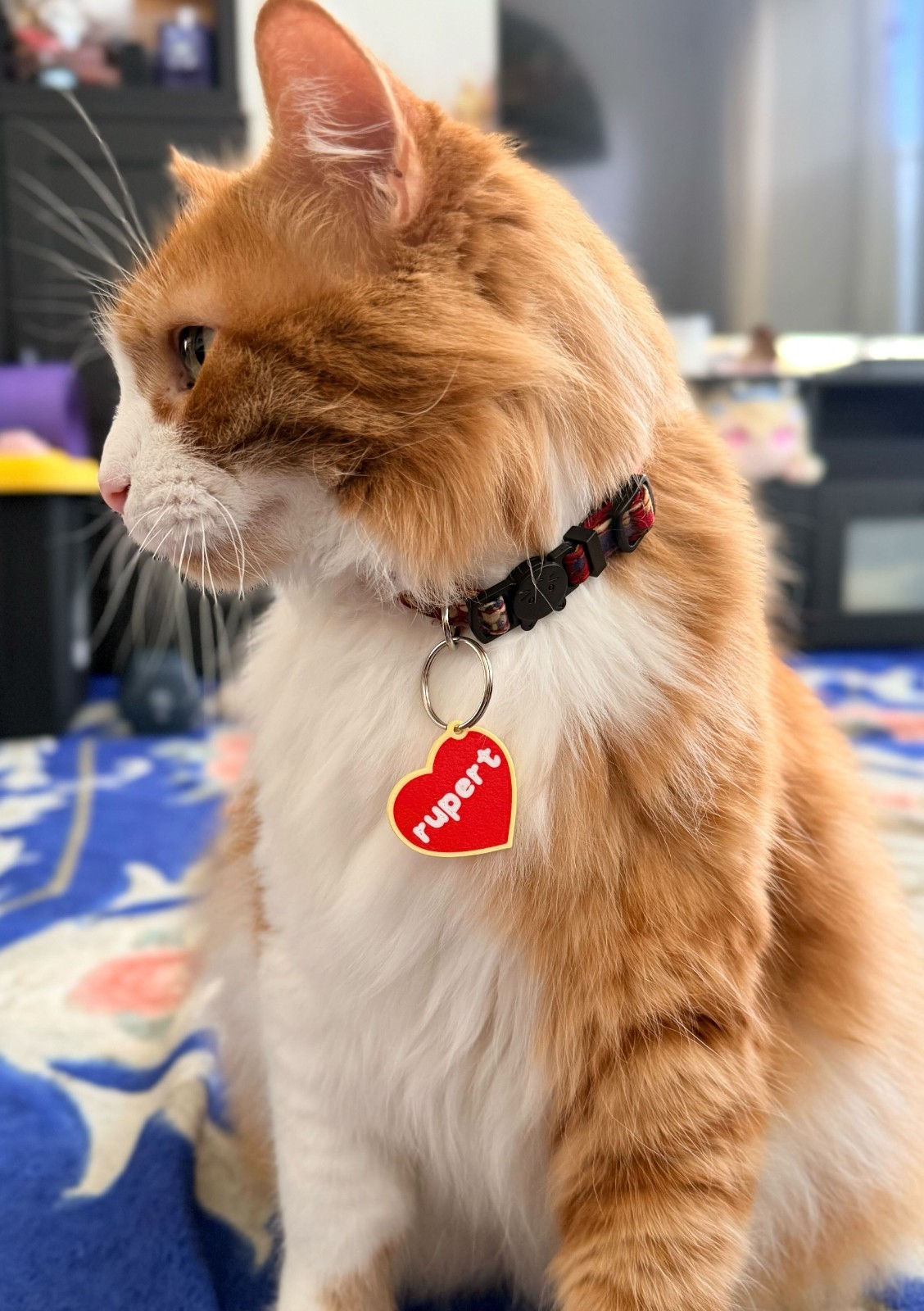 ty Beanie Babies Custom pet tag keychain