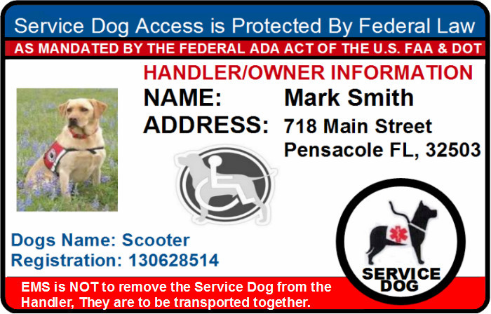 HOLOGRAM SERVICE DOG ID BADGE CARD FOR WORKING DOG AND HANDLER PET ID tag 15