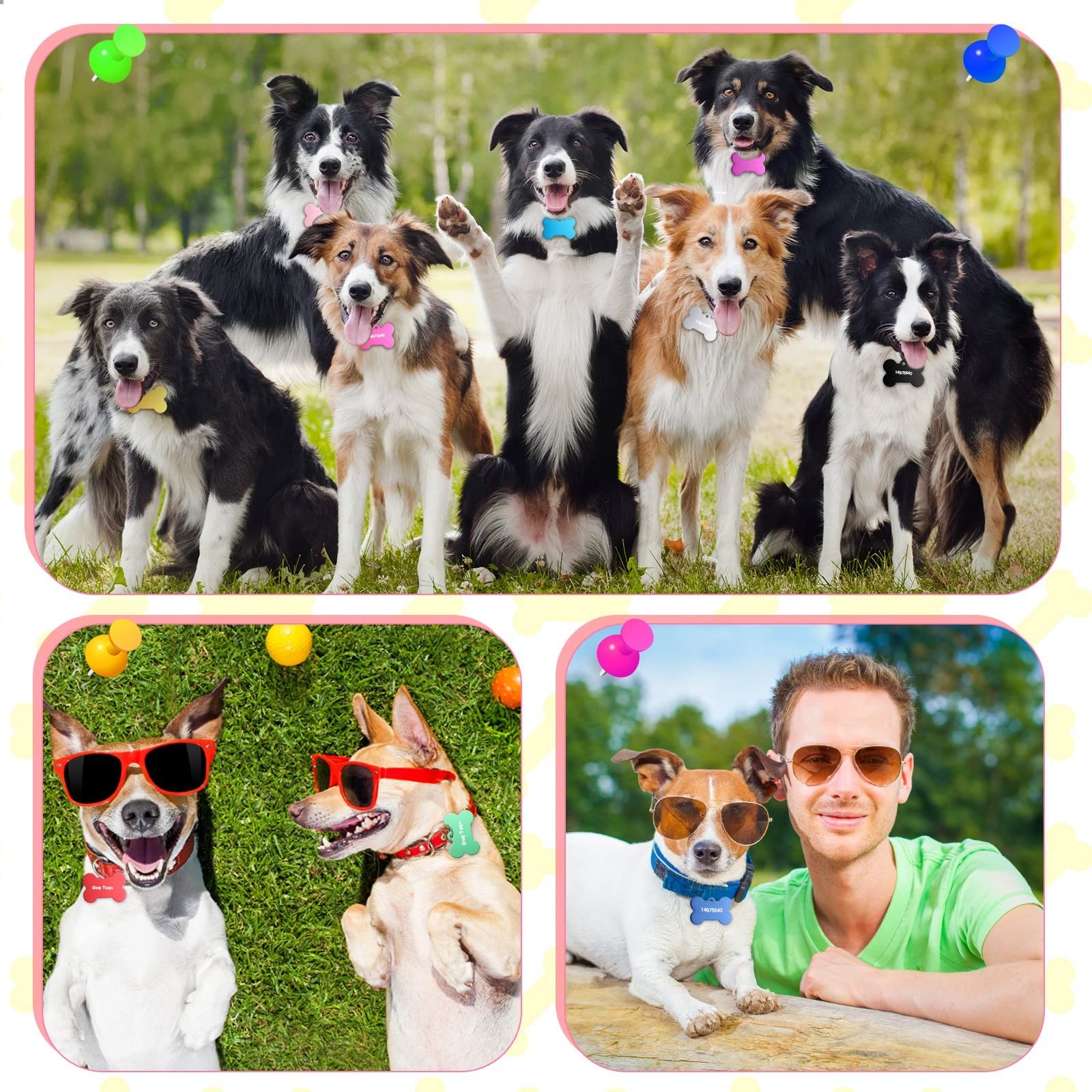 100 Pcs Blank Dog Cat Tags for Engraving, 38mm Aluminum Bone Shape, Colorful Dou
