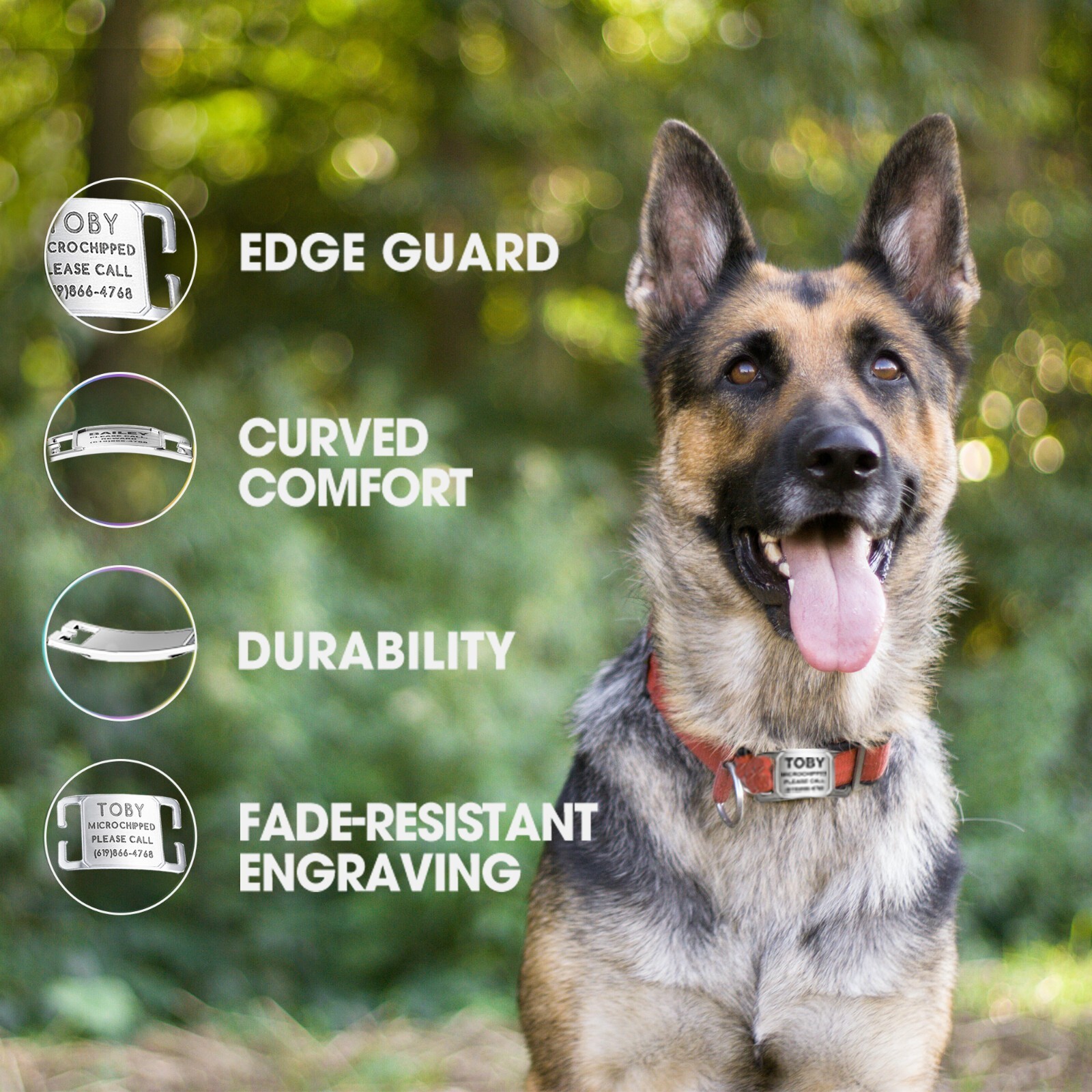 Leash King Noise-Free Slide-On Personalized Pet ID Tag