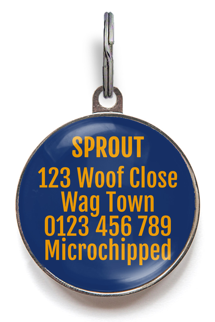 Bagel Dog Tag – Custom Pet ID Tag with Name – Food Lover Dog Accessory