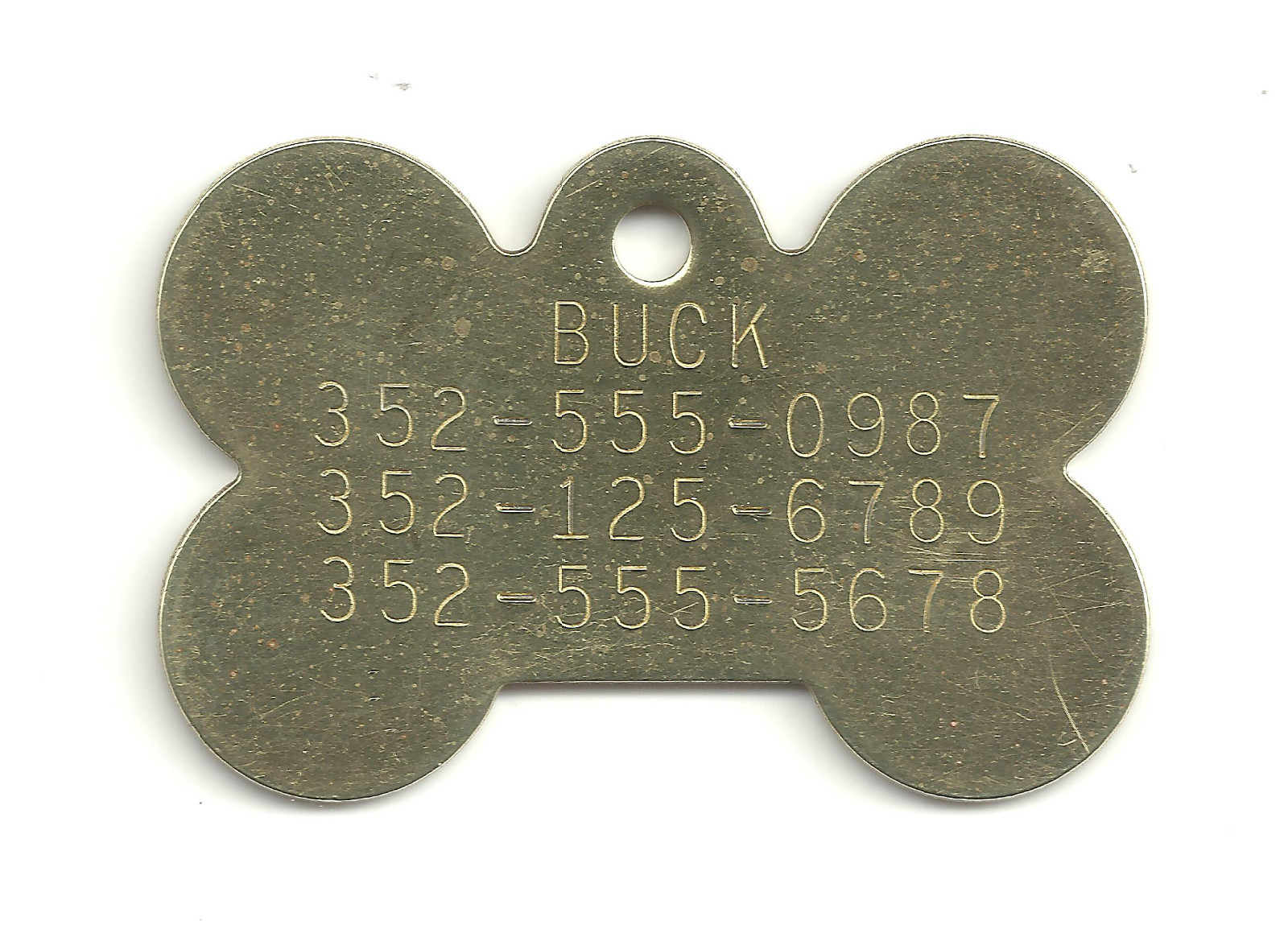 Solid Brass Shiny Gold K9 Dog Biscuit Bone Pet Personalized Name ID Tag