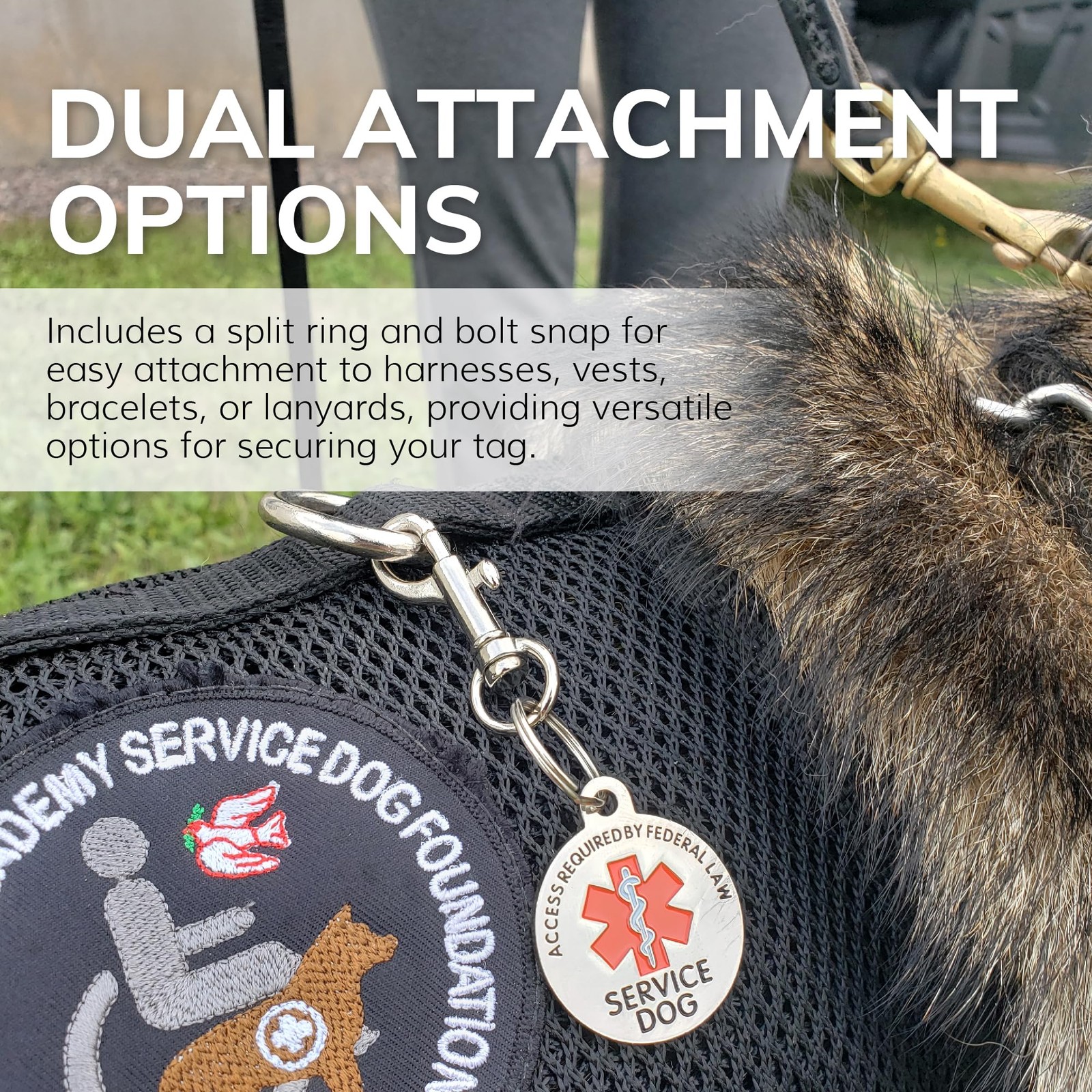 ActiveDogs Service Dog ID – Medical Alert Tag for Collar, Vest or Harness – D…
