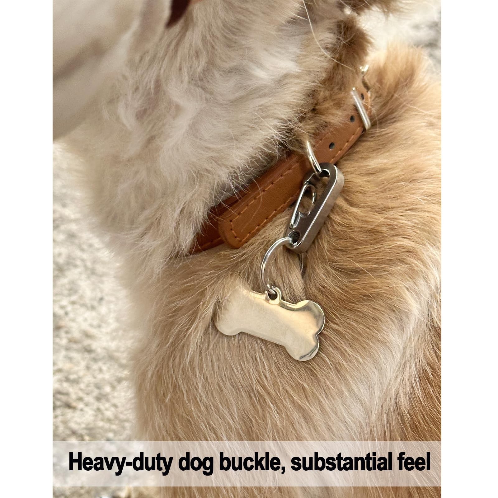 Stainless Steel Dog Tag Clips – 2 Pack Quick Clip ID Holder for Small Pets