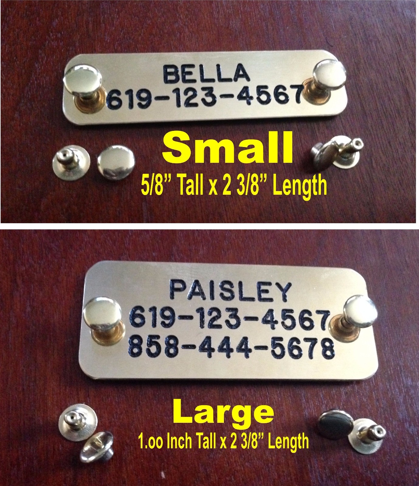 SOLID BRASS (Gold) TAG NAME PLATE FOR DOG COLLAR SET OF RIVET CUSTOM PERSONALIZ